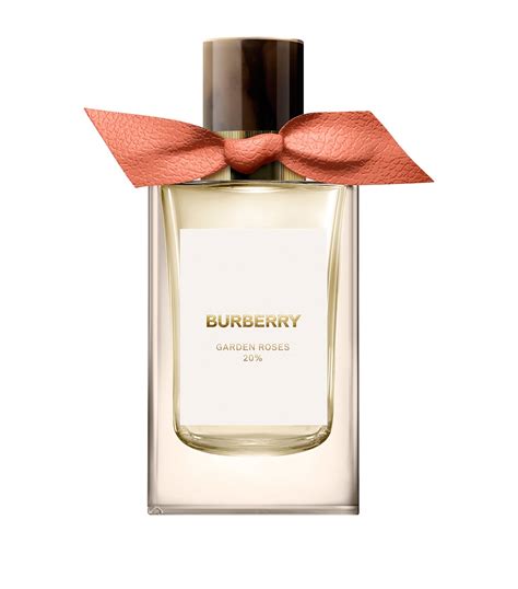 burberry garden roses